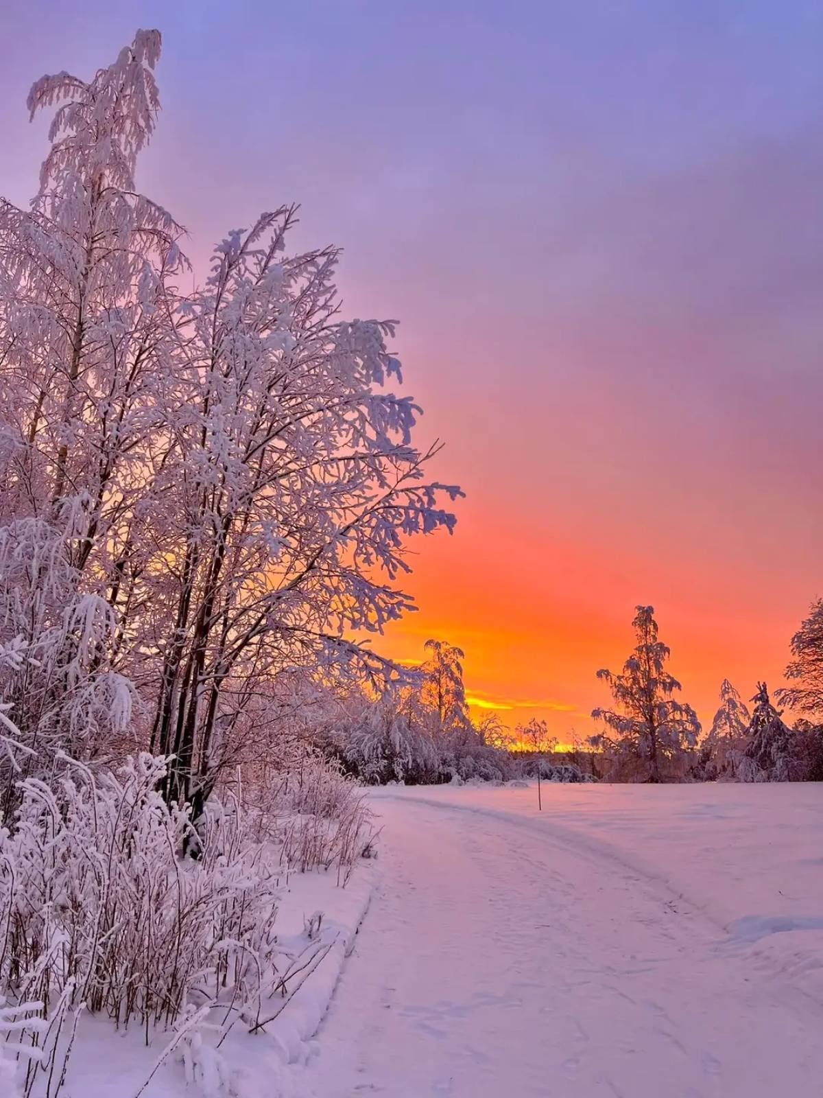 Собираю компанию девочек  meeting main image