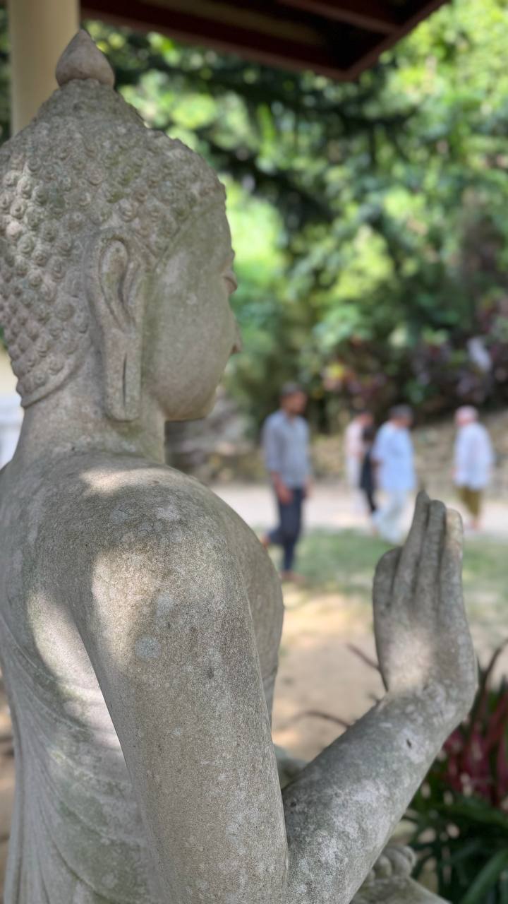 Прогулка, медитация при ходьбе meeting main image