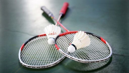 Игра в бадминтон  meeting main image