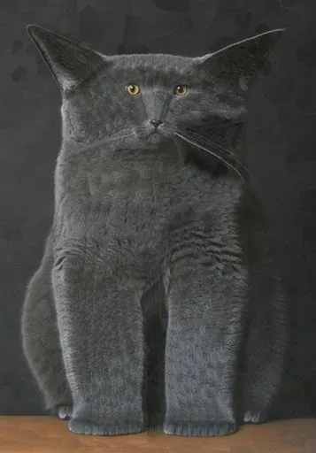 User Настя avatar