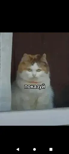 User Анна Анна  avatar