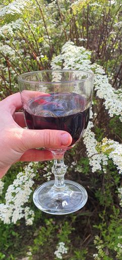 Общение подруг meeting main image