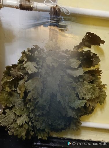 Банная встреча, для адептов парения | Удовольствие в жизни meeting main image