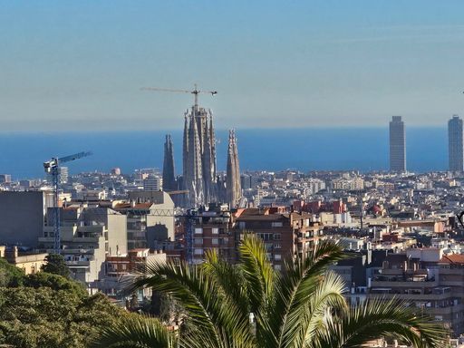 User Вадим О avatar