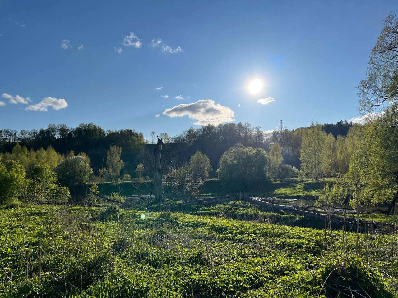 Просто поболтать meeting main image