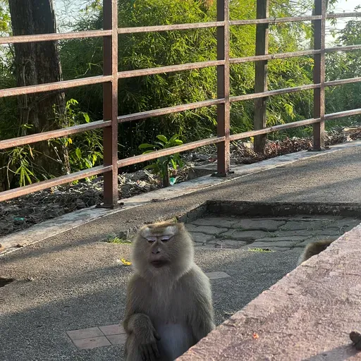 User Денис   avatar