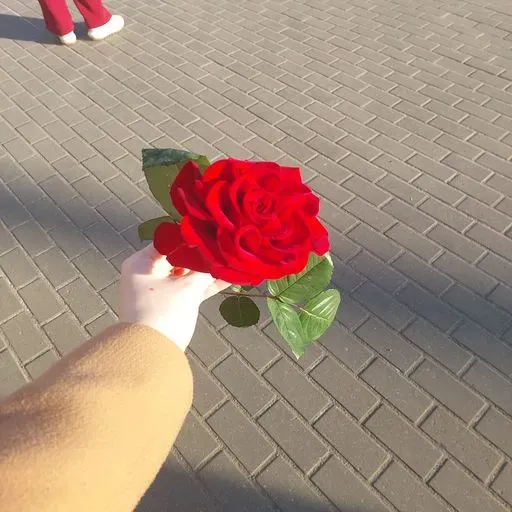 User Лиза Яхонтова avatar