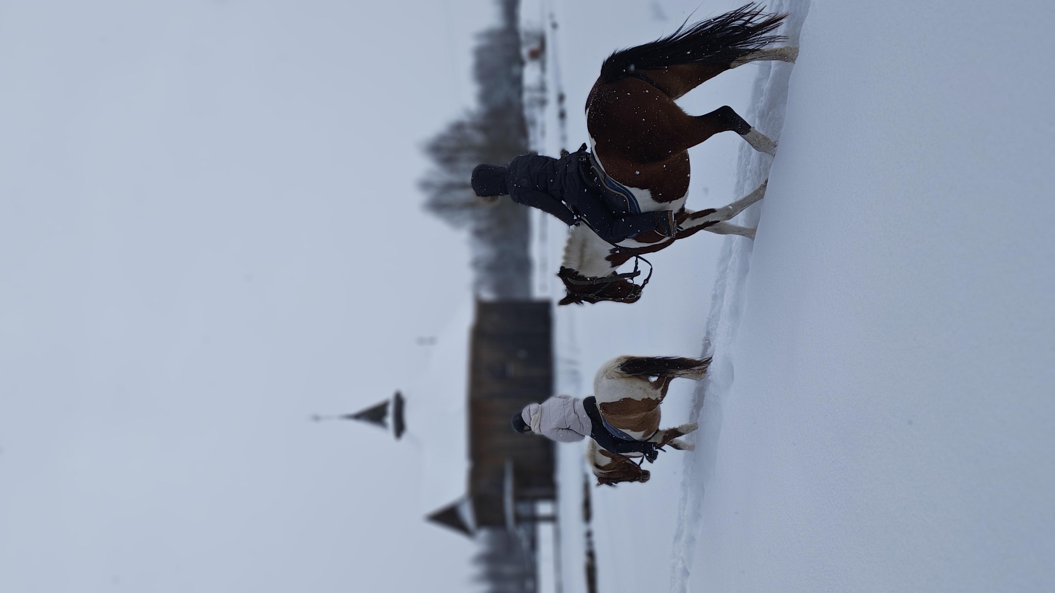 Конная прогулка + экскурсия + обед в таверне meeting main image