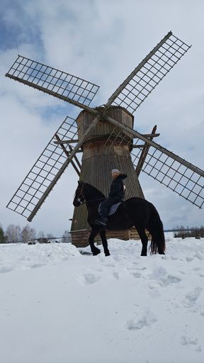 Конная прогулка + экскурсия + обед в таверне meeting main image