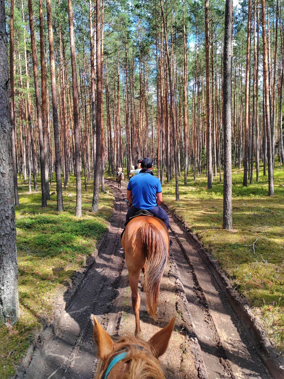 Сплав и конный поход в одном туре! meeting main image