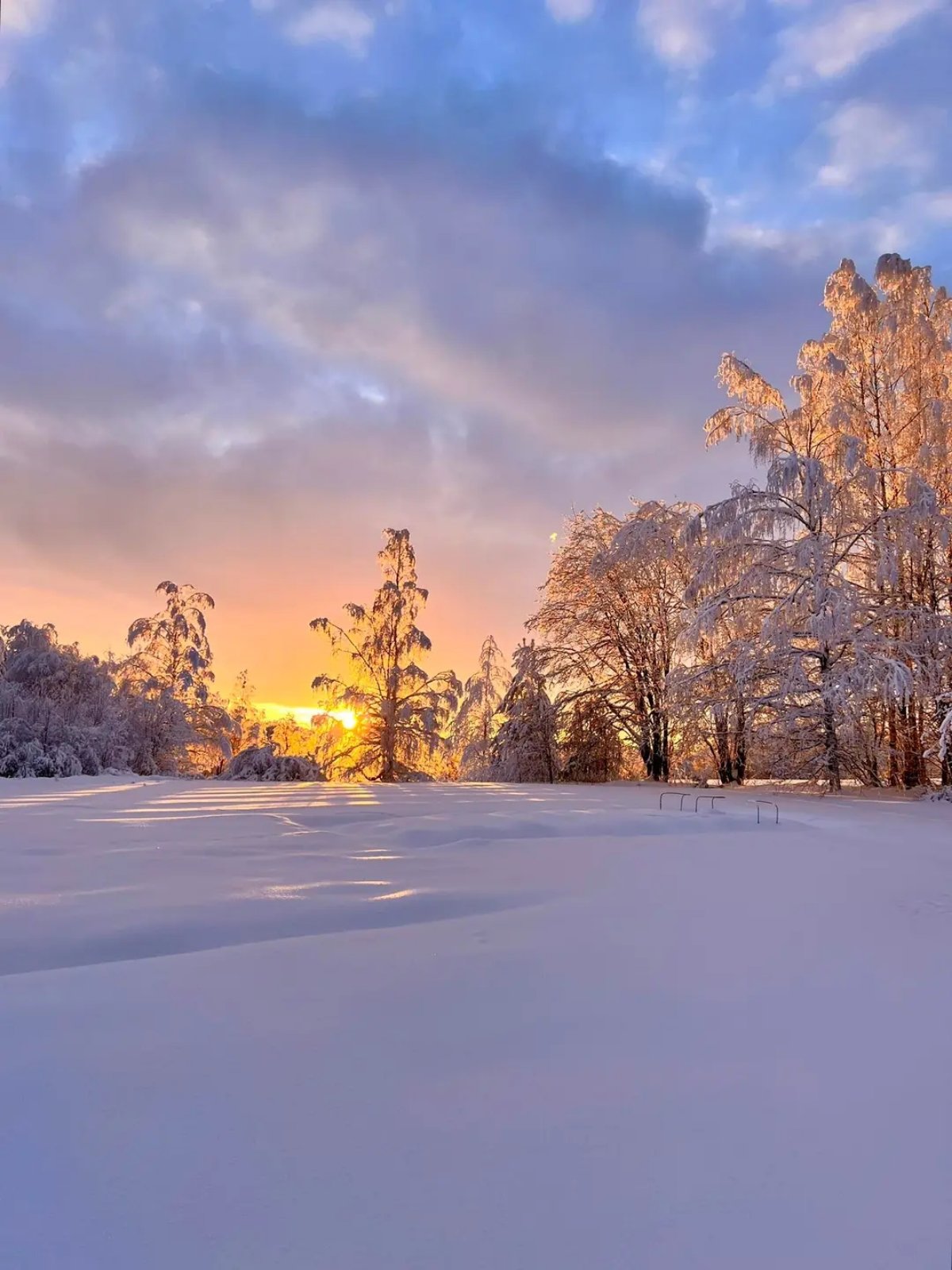 Кто-нибудь хочет сыграть в мафию? meeting main image