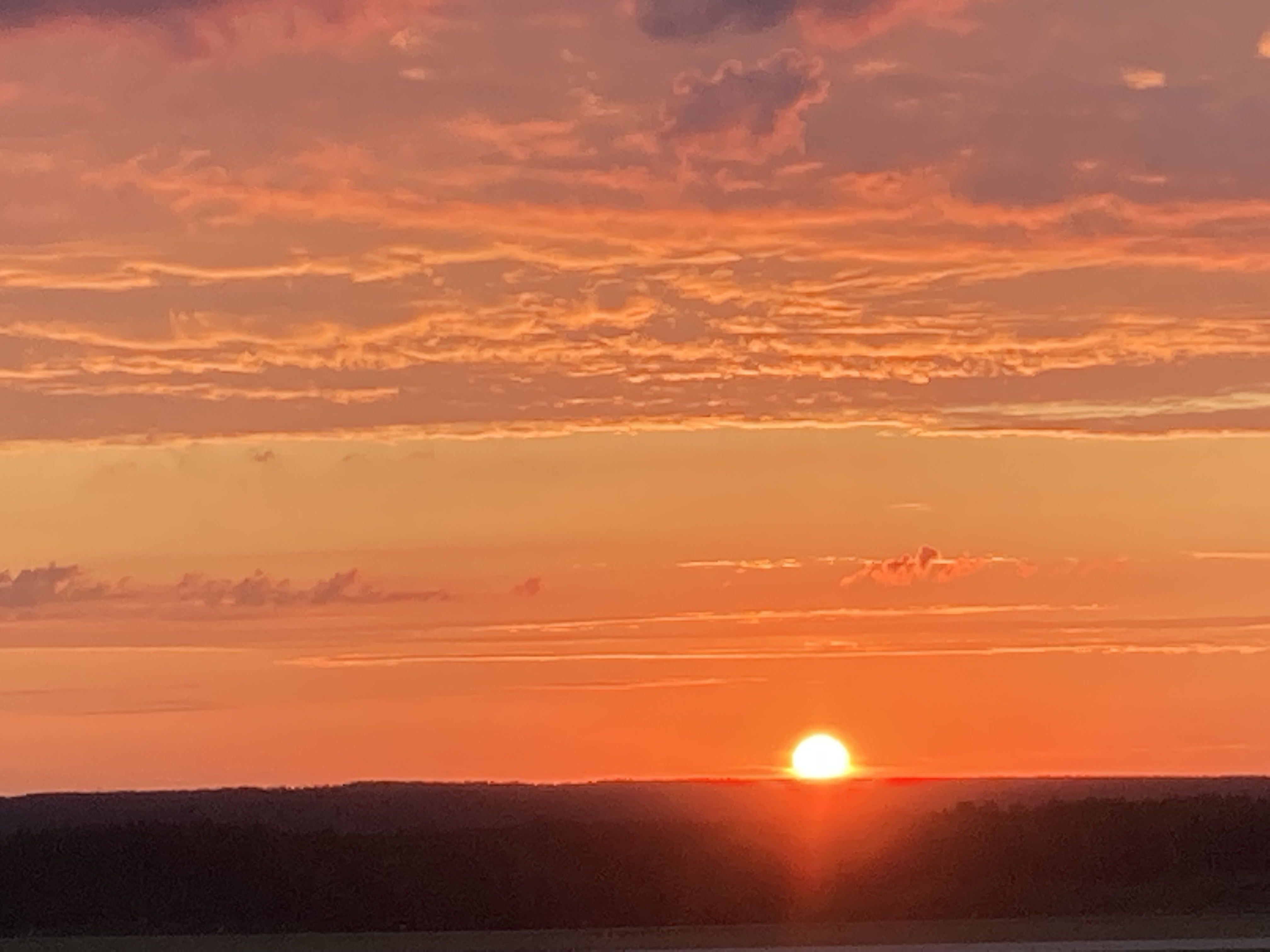 User Женя avatar