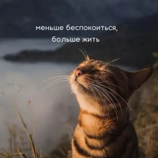 User Вероника   avatar