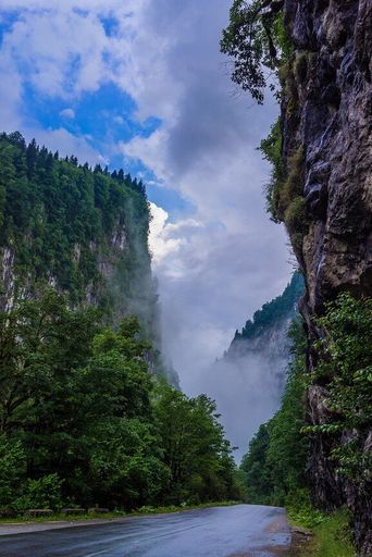 Тур в АБХАЗИЮ meeting main image