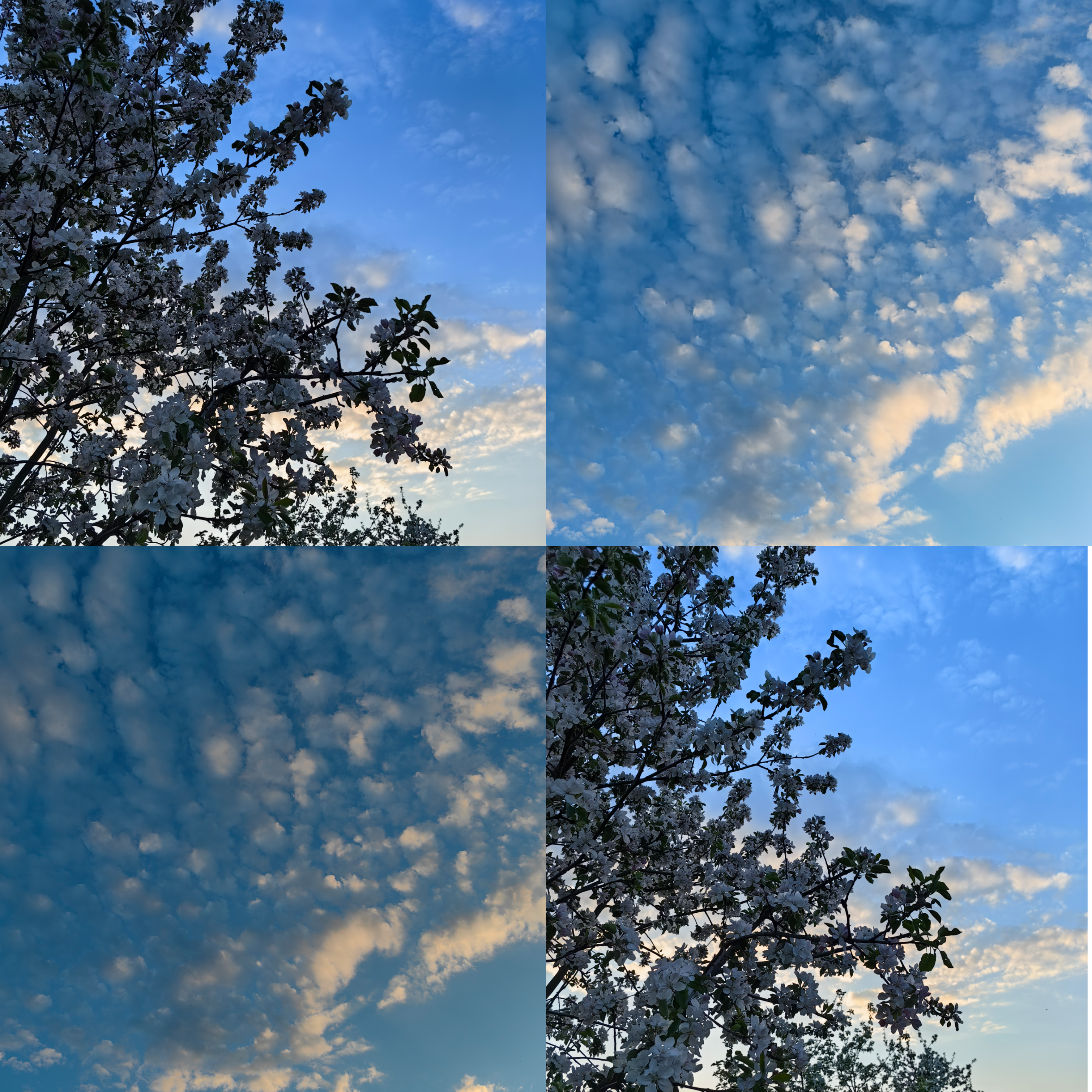 Душевные посиделки ☀️ meeting main image