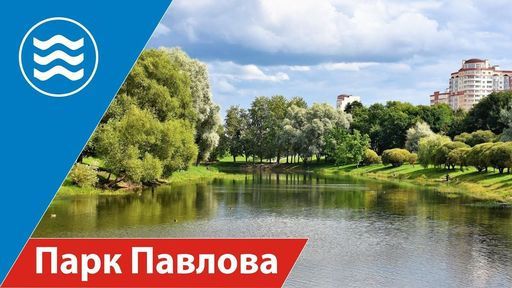 Парк Павлова, Прогулки, новые знакомства  meeting main image