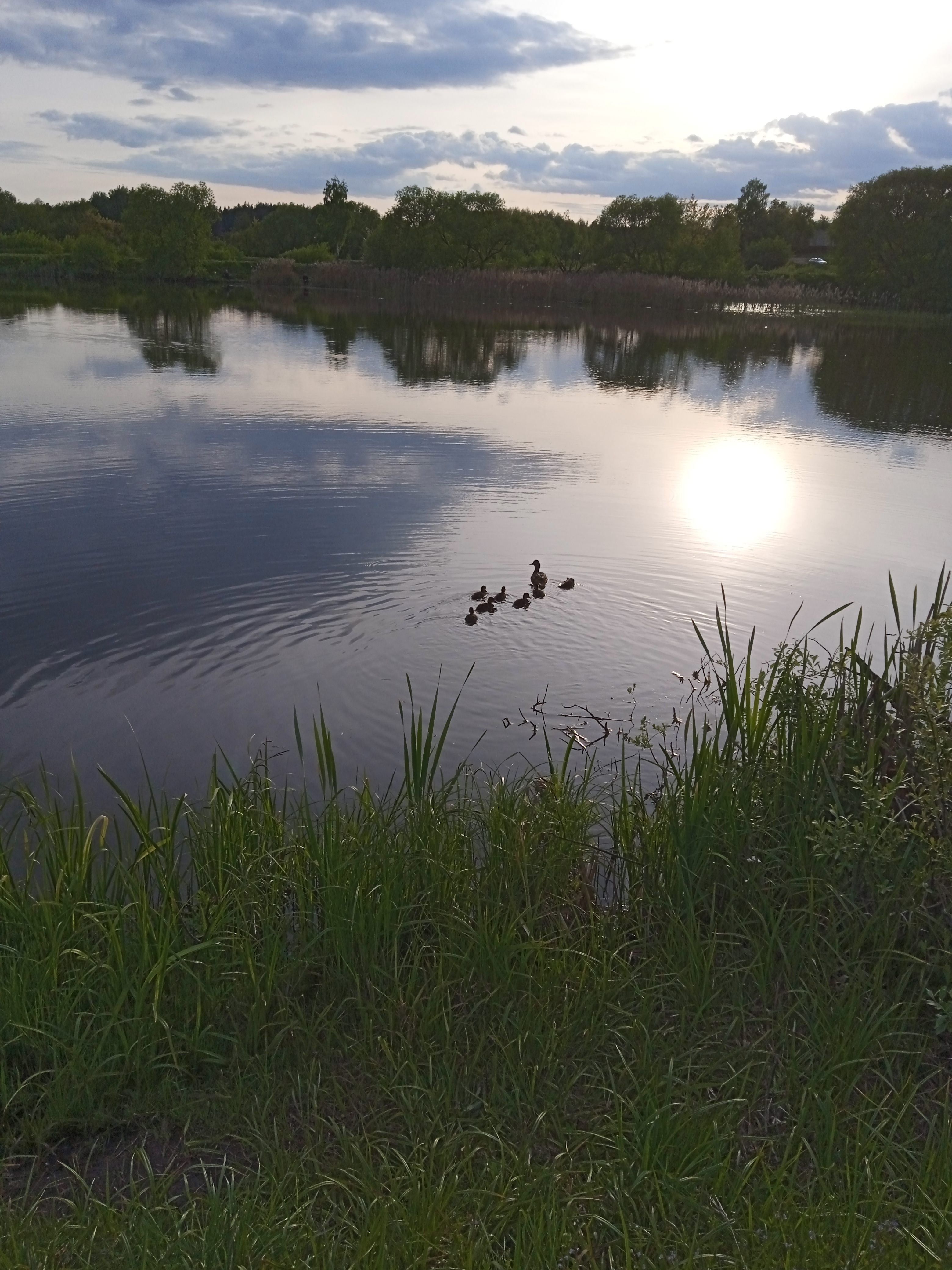 Книжный клуб бизнес и околобизнес литературы meeting main image