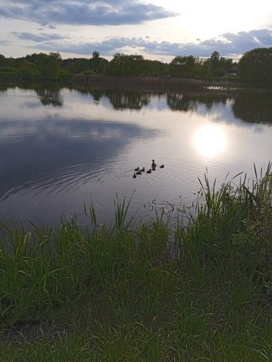 Книжный клуб бизнес и околобизнес литературы meeting main image