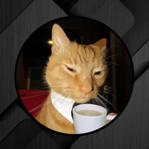 User Дарина Аксëнова avatar
