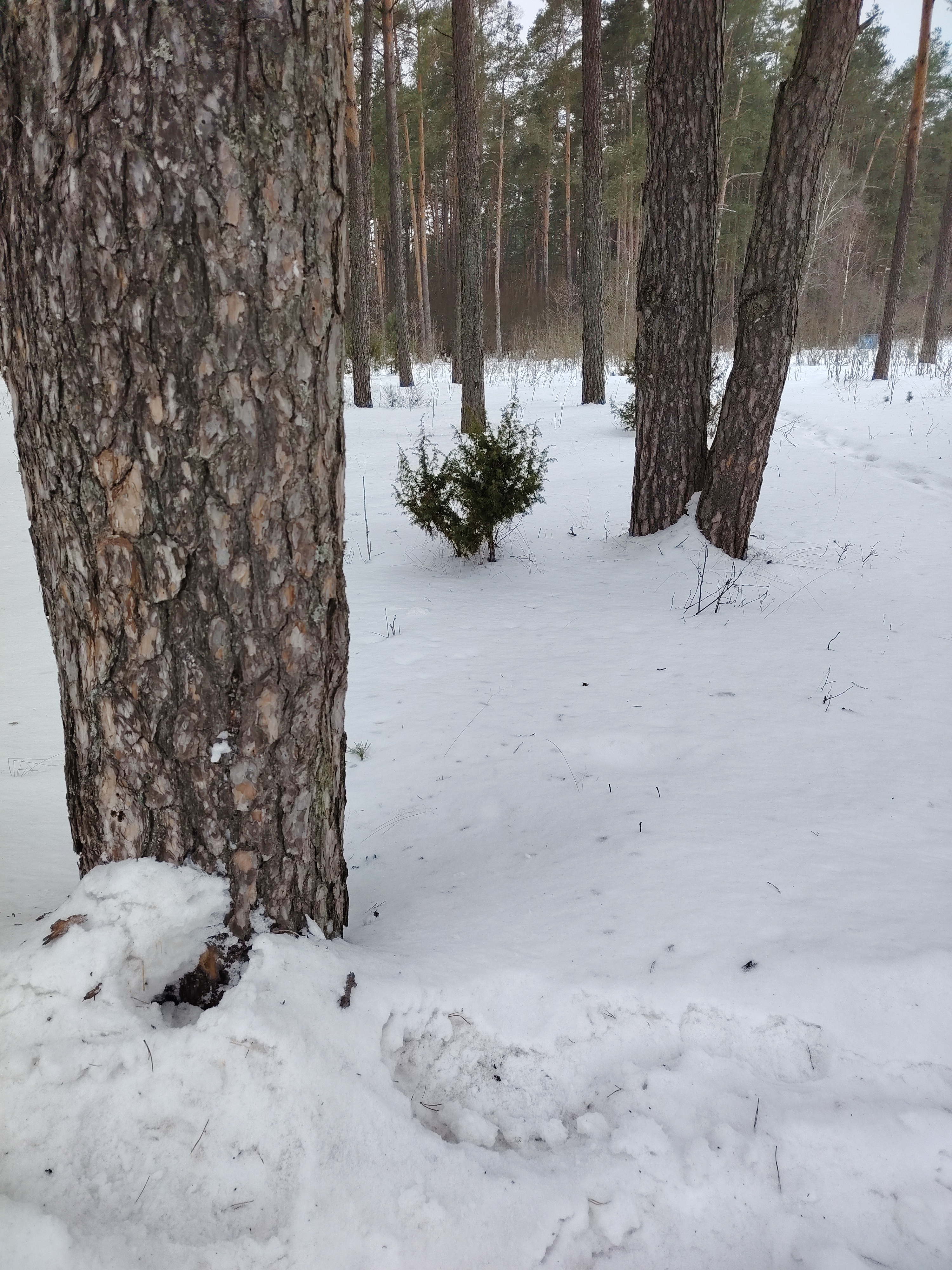 Фото сесии на природе meeting main image