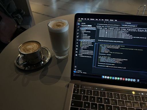 Трудоустройство в Data Science: план действий/разбор вопросов. meeting main image