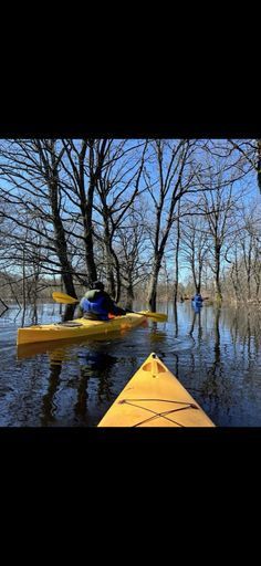 Сплав по разливам Припяти (море Геродота, 1 раз в году) meeting main image