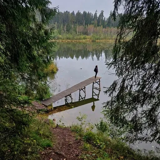 User Надежда   avatar