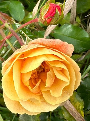  Мероприятие компании Монат  meeting main image