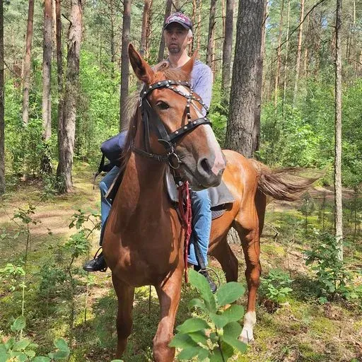 User Дмитрий Сушко avatar