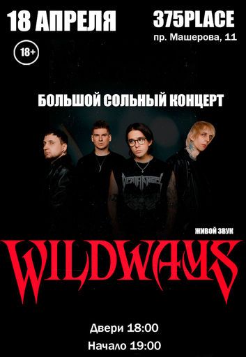 Концерт wildways  meeting main image