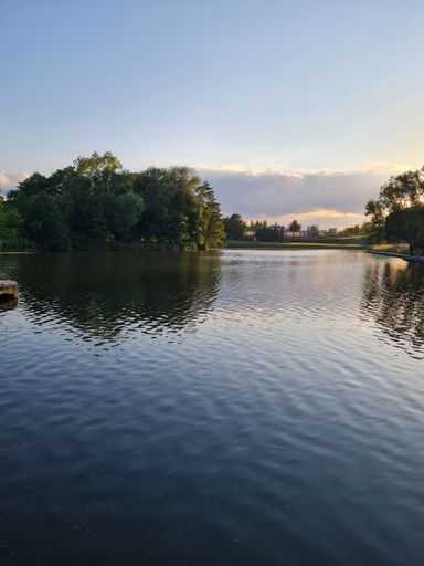 Вечерние прогулки в парке м-н Чижовка  meeting main image