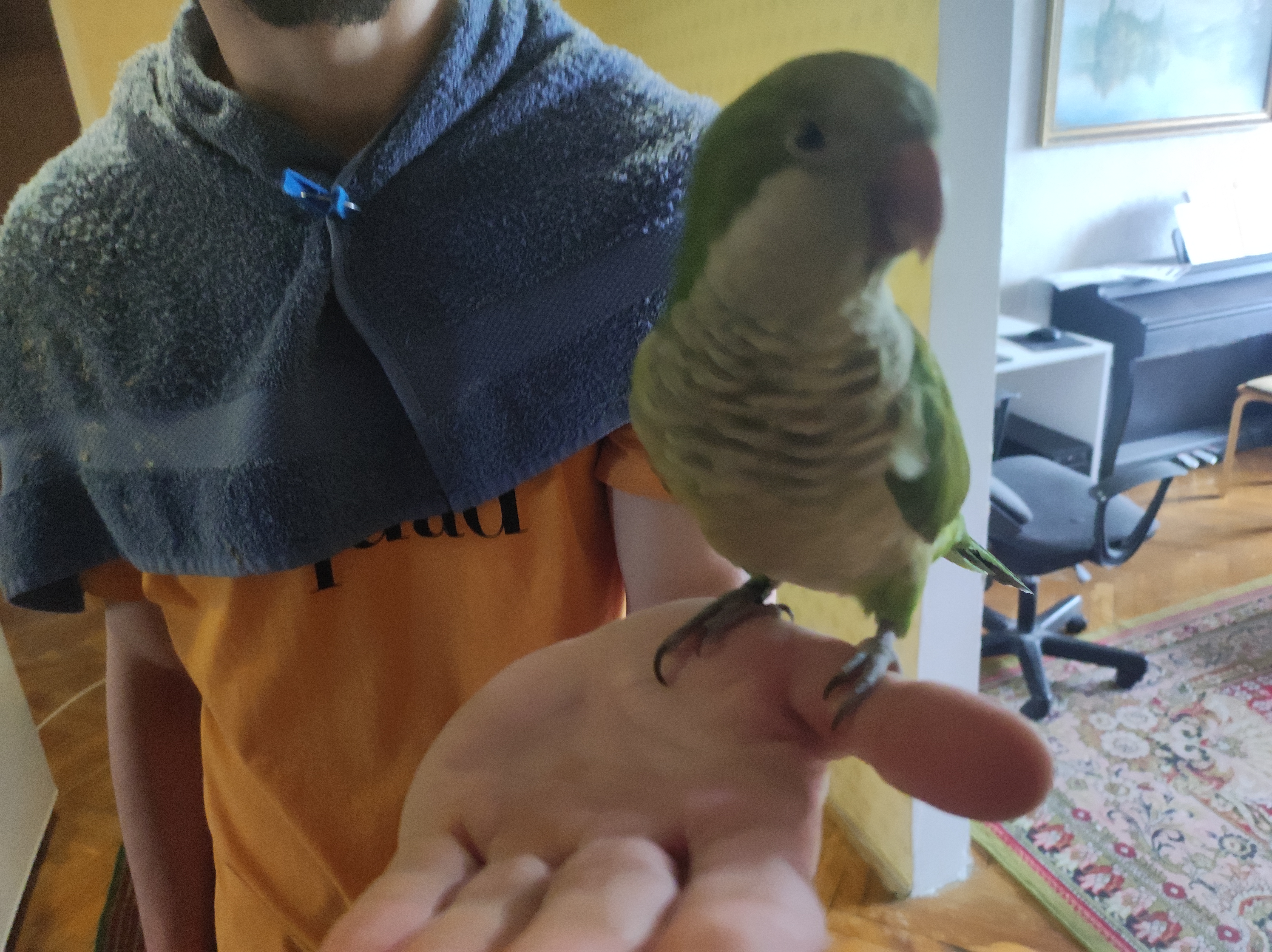 User Серж  avatar