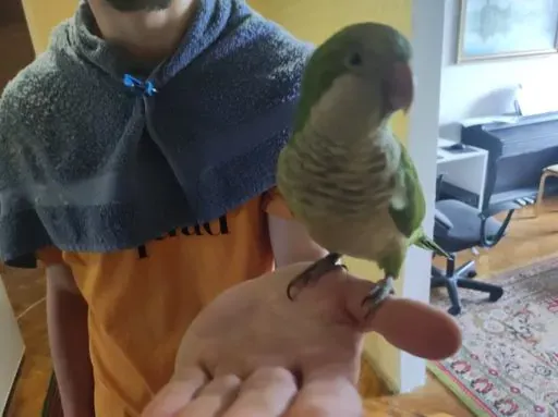 User Серж  avatar