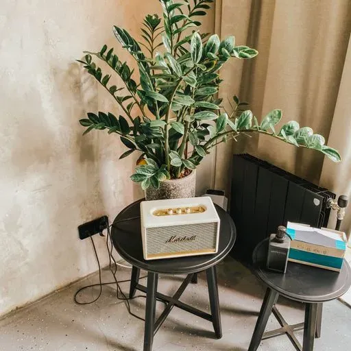 Душевная встреча про отношения: где гармония и счастье в них? meeting main image