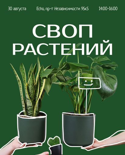 Цветочный своп meeting main image