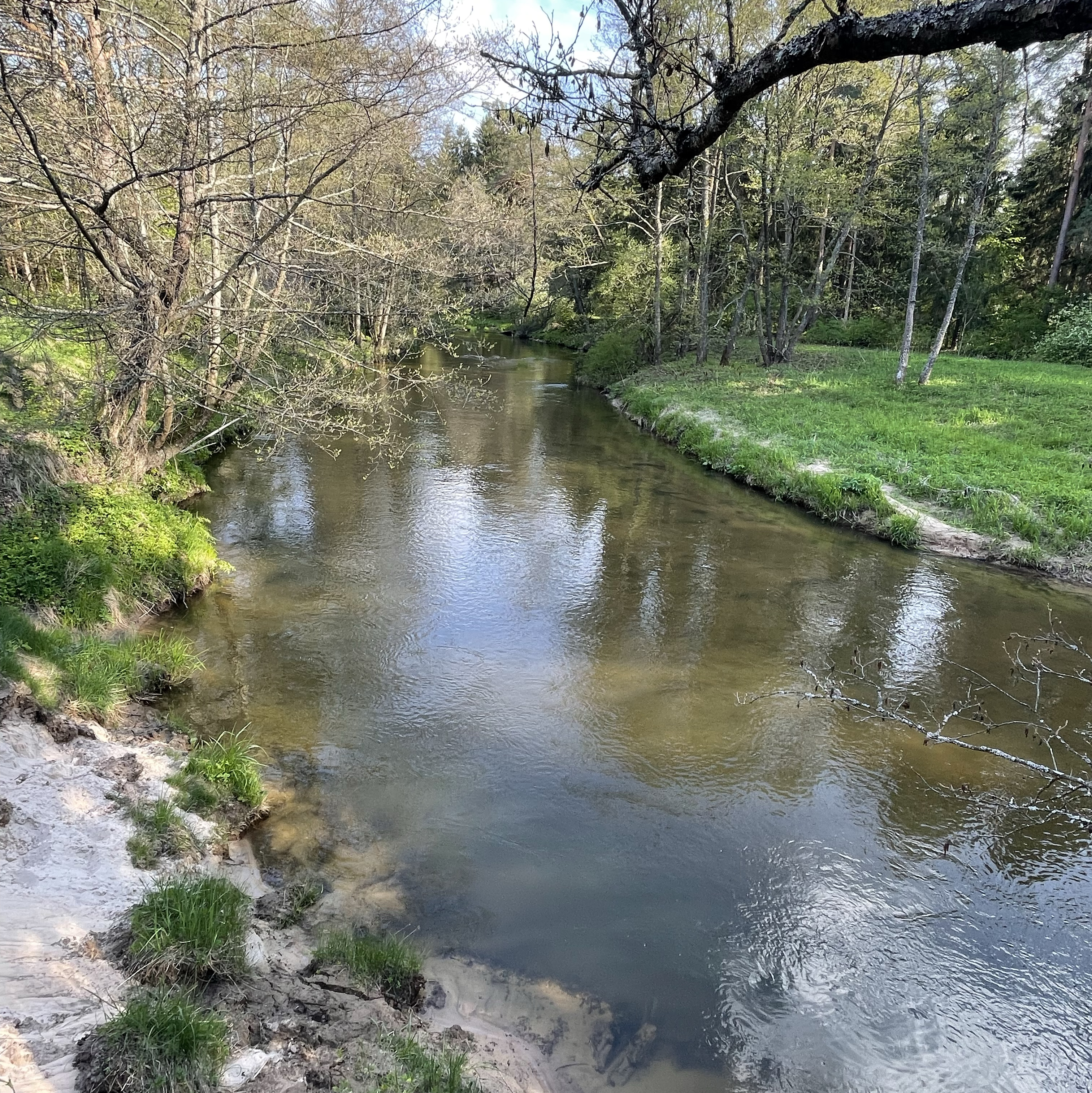 User Yury Stasiuk avatar