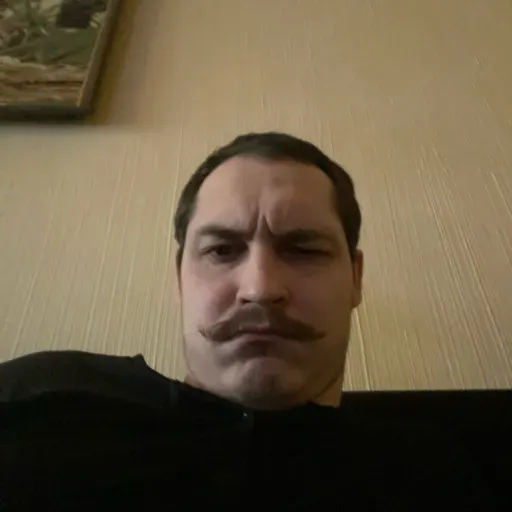 User Алесь  avatar