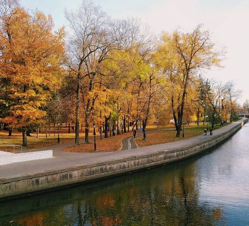 Ищу компанию для вечерних прогулок  meeting main image