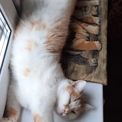 User Павел Кунцевич avatar