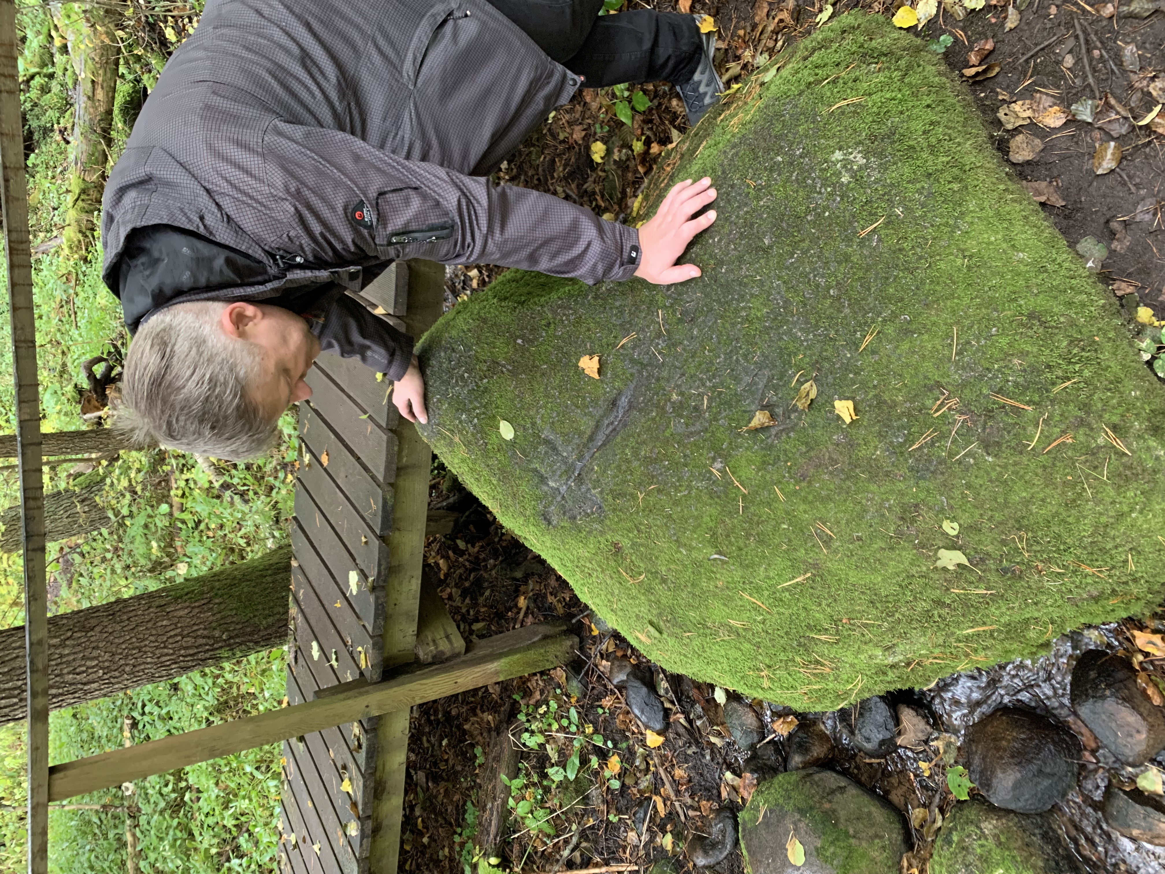 User Анатолий Р. avatar