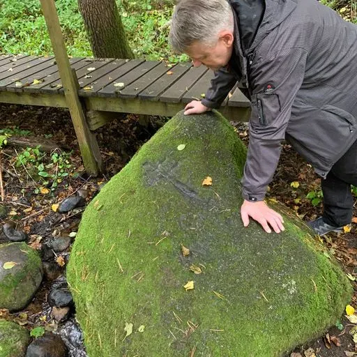 User Анатолий Р. avatar