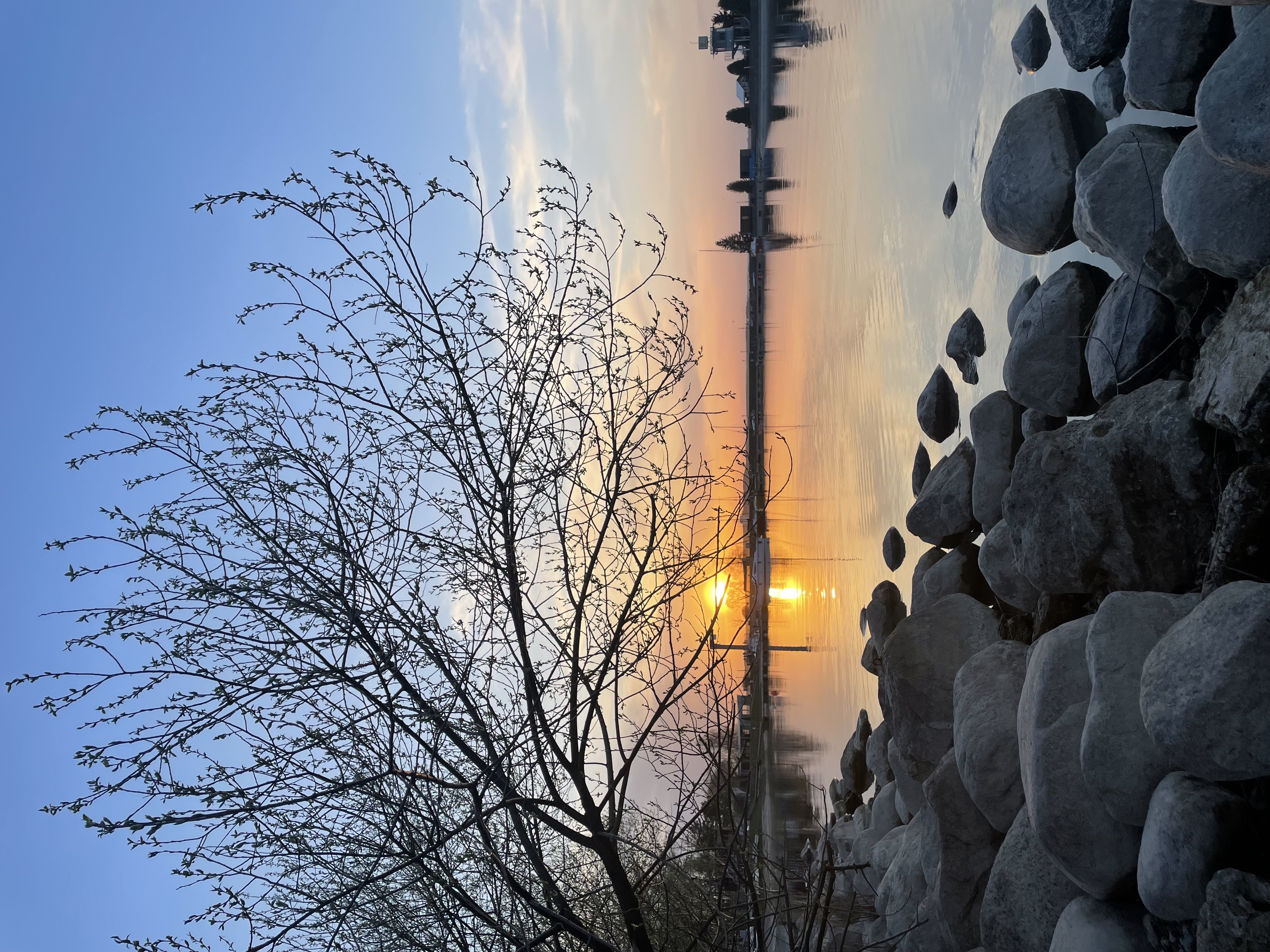 User Диана   avatar