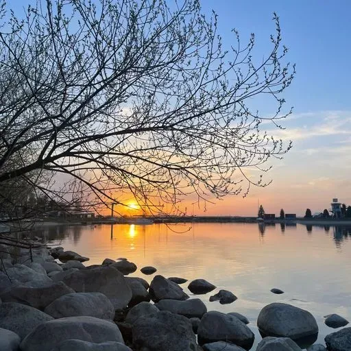 User Диана   avatar