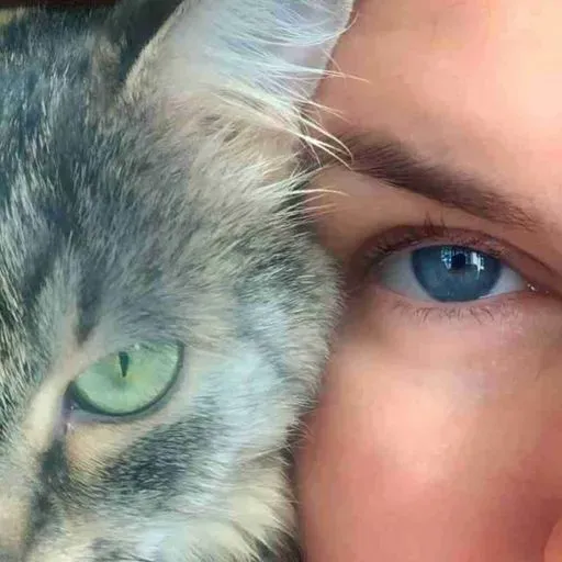 User Анастасия  avatar