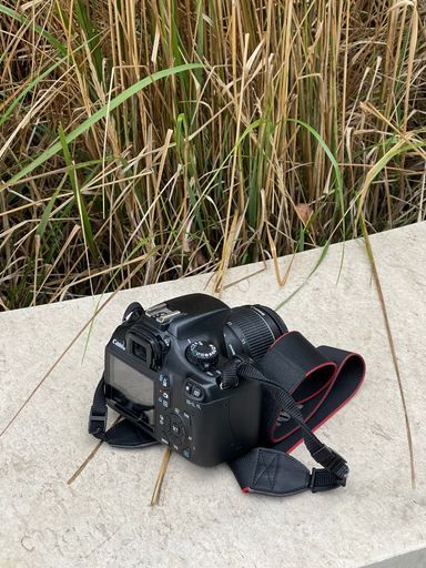 Фотопрогулки meeting main image