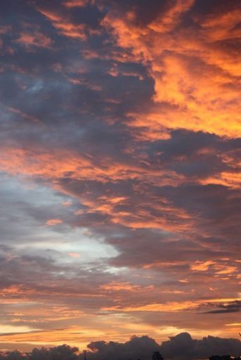 Фотопрогулка meeting main image