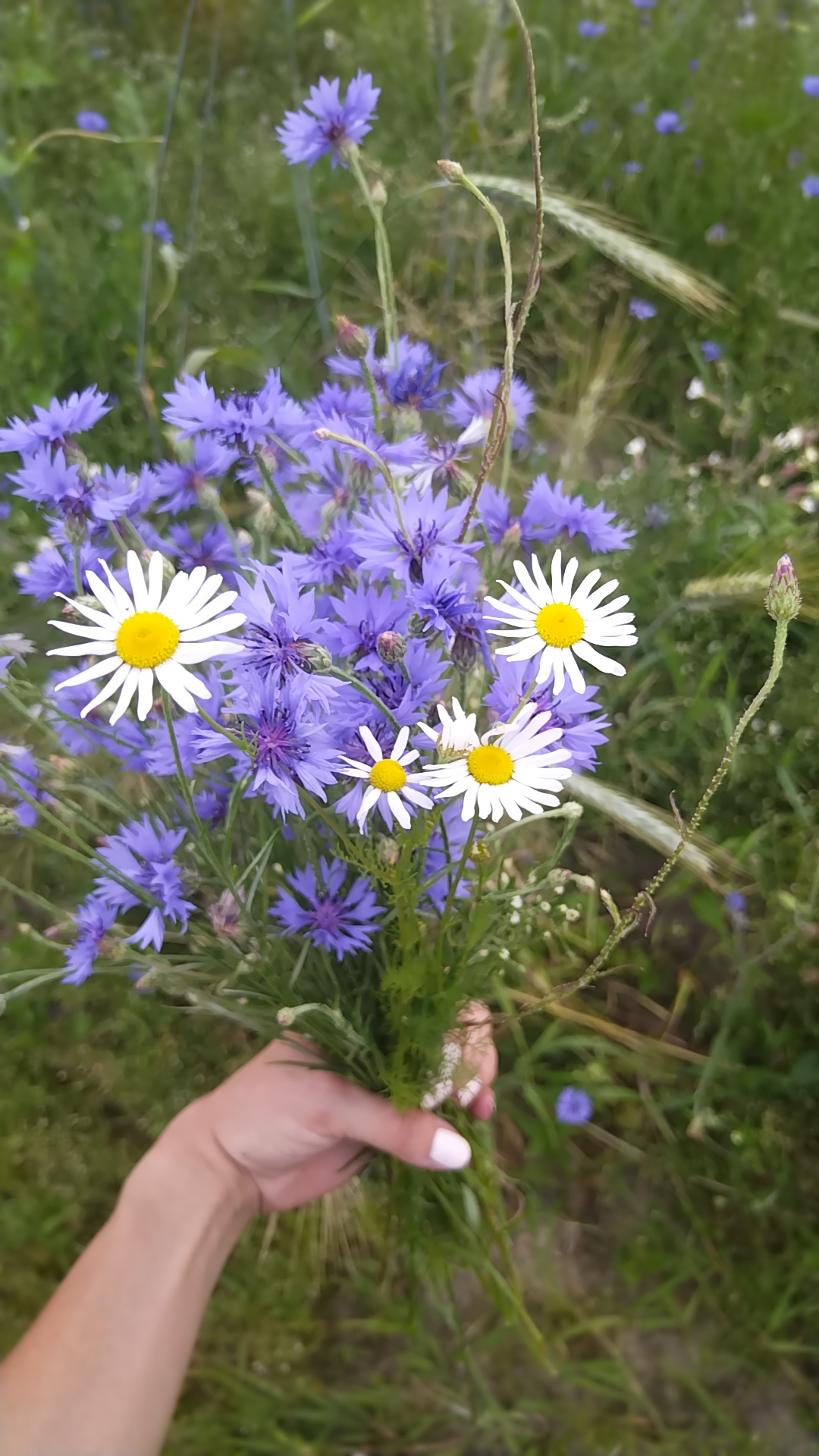 User Наталья  Малиновская  avatar