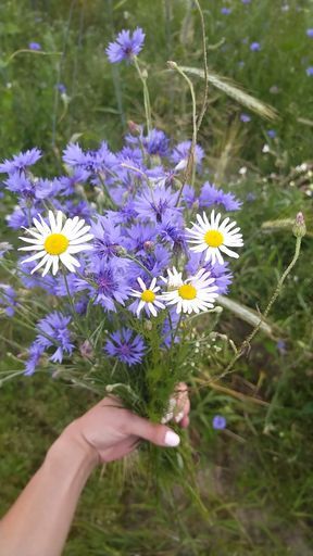 User Наталья  Малиновская  avatar