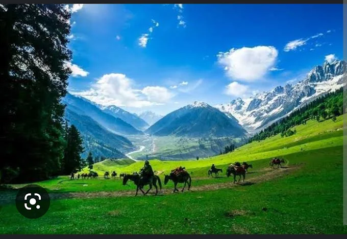 Srinagar Destination Tour And Travels - Travel Agency in Kashmir