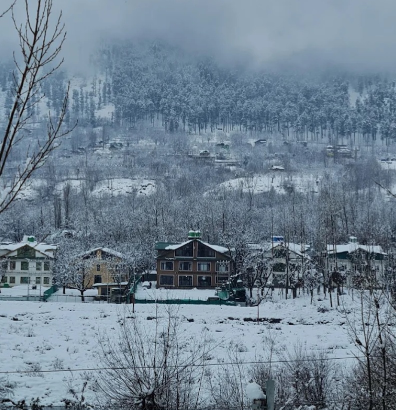 Srinagar Destination Tour And Travels photo